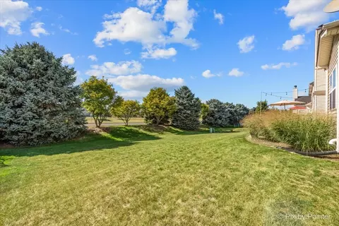 26658 Lindengate Cir, Plainfield, IL 60585 photo 32