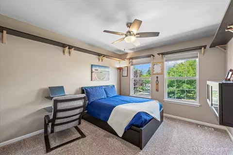 26658 Lindengate Cir, Plainfield, IL 60585 photo 26