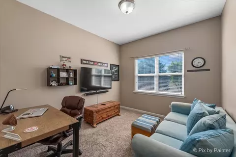 26658 Lindengate Cir, Plainfield, IL 60585 photo 19
