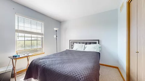 4721 W Iris Ln, Monee, IL 60449 photo 25