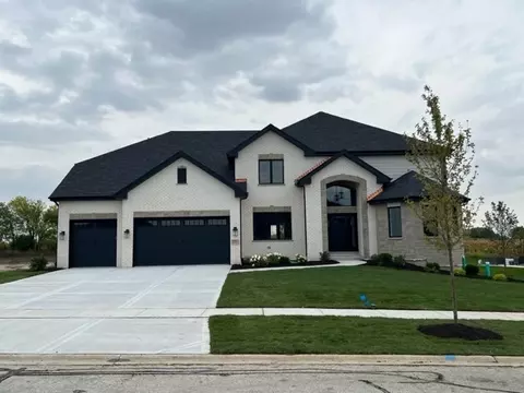 8695 Chilton Ct, Frankfort, IL 60423