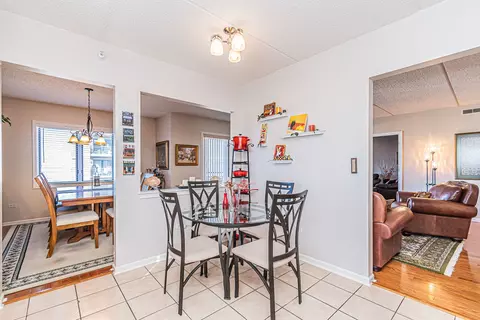 770 Pearson St #2-703, Des Plaines, IL 60016 photo 8