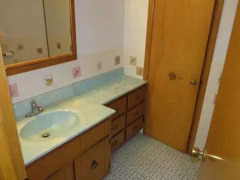 1015 Union St, Morris, IL 60450 photo 37