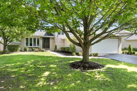 16443 Spangler Rd, Plainfield, IL 60586