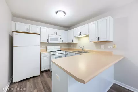 992 Langtry Ct #B, Elgin, IL 60120 photo 8