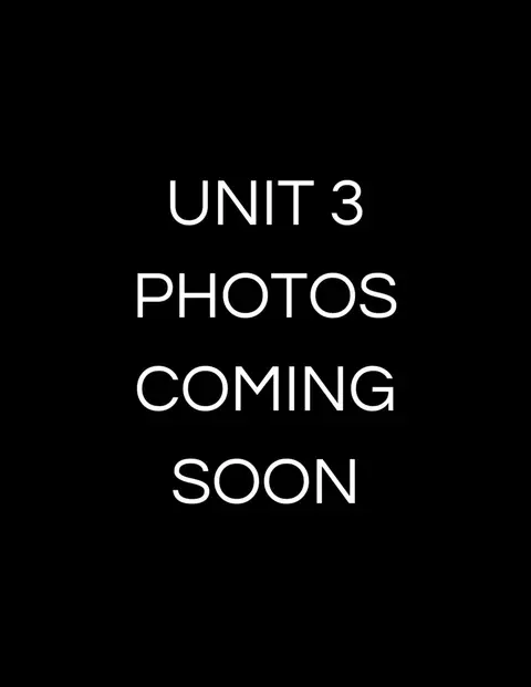 1310 W Cornelia Ave, Chicago, IL 60657 photo 33