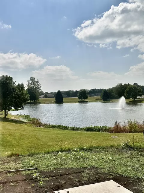 270 Maple St, Beecher, IL 60401 photo 13