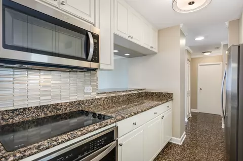 111 E Chestnut St #40F, Chicago, IL 60611 photo 14