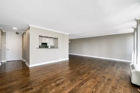 111 E Chestnut St #40F, Chicago, IL 60611 photo 5