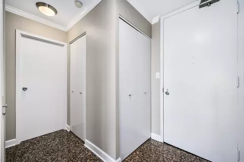 111 E Chestnut St #40F, Chicago, IL 60611 photo 3