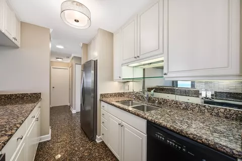 111 E Chestnut St #40F, Chicago, IL 60611 photo 13