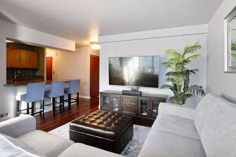 222 E Pearson St #1806, Chicago, IL 60611 photo 3