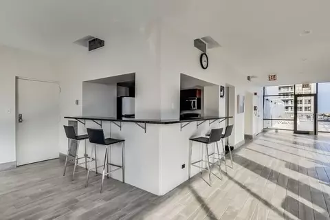222 E Pearson St #1806, Chicago, IL 60611 photo 18