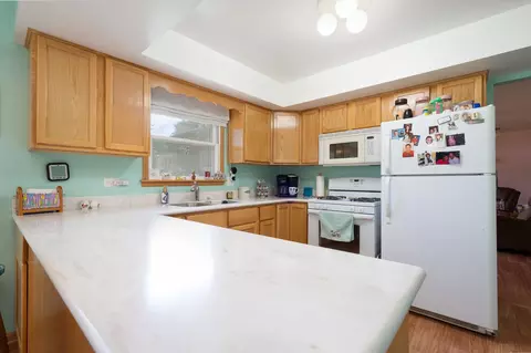 25425 W Willow Dr, Plainfield, IL 60544 photo 11