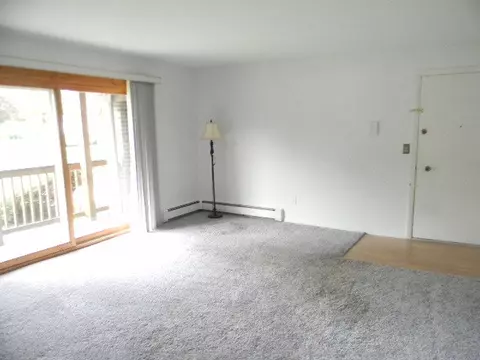 19330 Wolf Rd #1, Mokena, IL 60448 photo 3