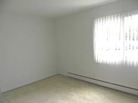 19330 Wolf Rd #1, Mokena, IL 60448 photo 11