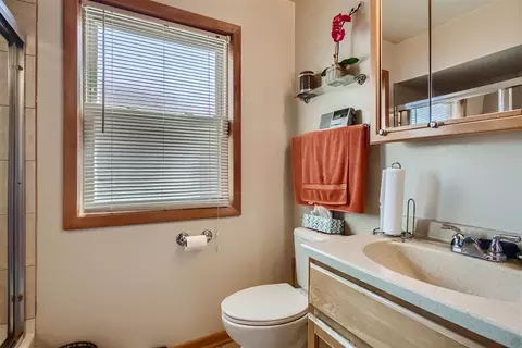139 E 119th Pl, Chicago, IL 60628 photo 16
