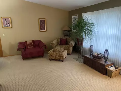 8564 Scheer Dr, Tinley Park, IL 60487 photo 7