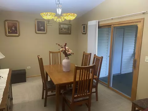 8564 Scheer Dr, Tinley Park, IL 60487 photo 8