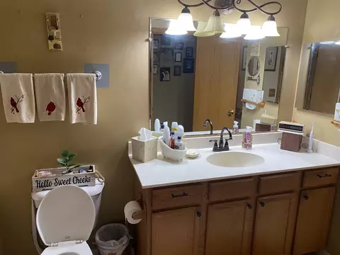 8564 Scheer Dr, Tinley Park, IL 60487 photo 10