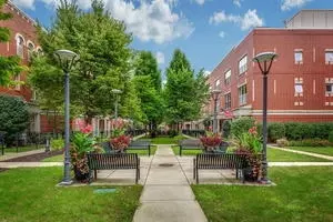 4646 N Greenview Ave #9, Chicago, IL 60640