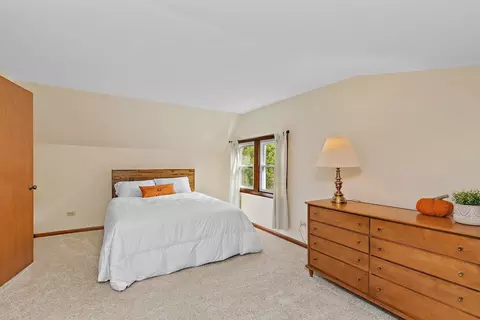 309 E 1st St, East Dundee, IL 60118 photo 18