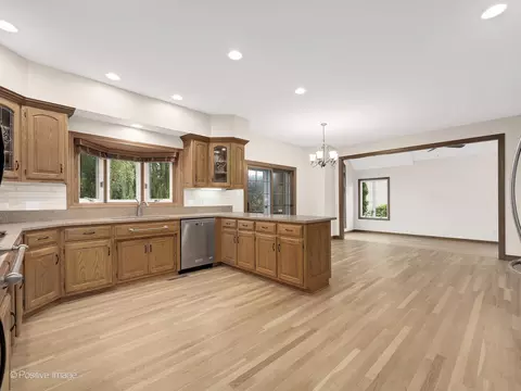 9108 Devon Ridge Dr, Burr Ridge, IL 60527 photo 17