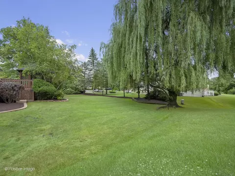 9108 Devon Ridge Dr, Burr Ridge, IL 60527 photo 42