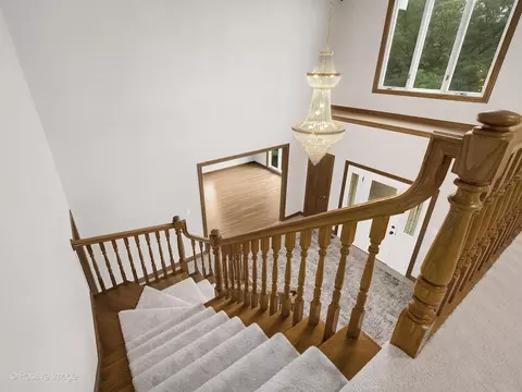 9108 Devon Ridge Dr, Burr Ridge, IL 60527 photo 23