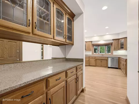 9108 Devon Ridge Dr, Burr Ridge, IL 60527 photo 18