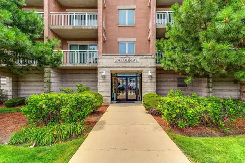 3258 N Harlem Ave #304, Chicago, IL 60634