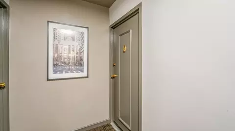 253 E Delaware Pl #7B, Chicago, IL 60611 photo 20