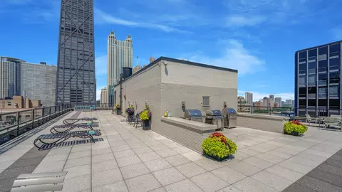 253 E Delaware Pl #7B, Chicago, IL 60611 photo 7