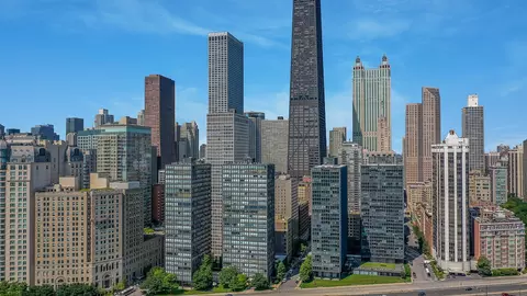 253 E Delaware Pl #7B, Chicago, IL 60611 photo 24