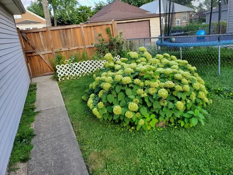 3139 Maple Ave, Brookfield, IL 60513 photo 22