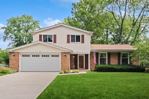 1603 S Harvard Ave, Arlington Heights, IL 60005