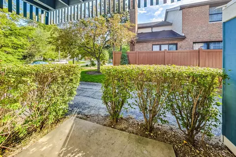 1216 Pine St #A, Glenview, IL 60025 photo 4
