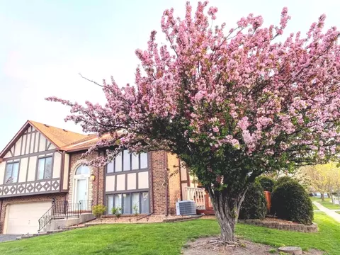 17590 Drummond Dr #169, Tinley Park, IL 60487