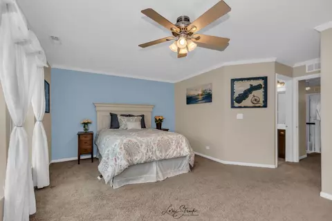 24935 Franklin Ln, Plainfield, IL 60585 photo 12
