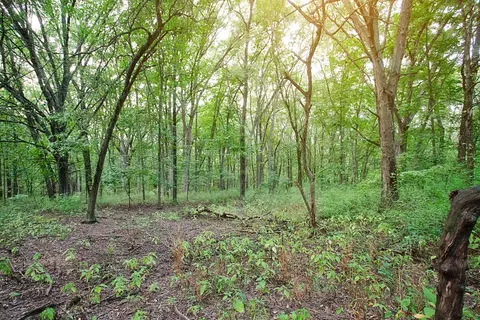 4290 Willard Ln, Lowell, IN 46356