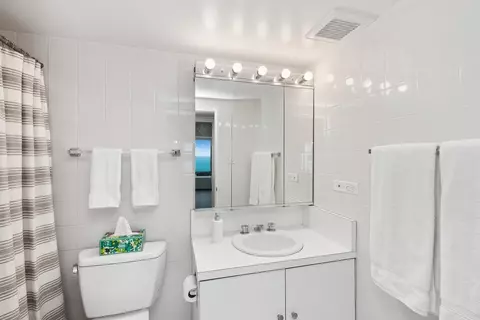 175 E Delaware Pl #7906, Chicago, IL 60611 photo 10