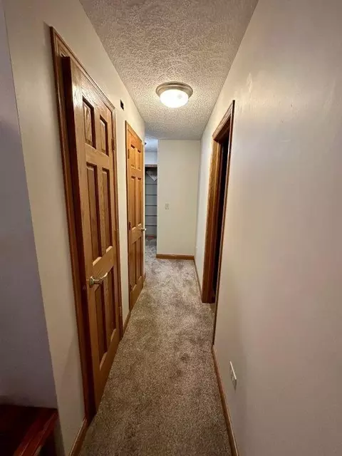509 S Union St, Dwight, IL 60420 photo 13