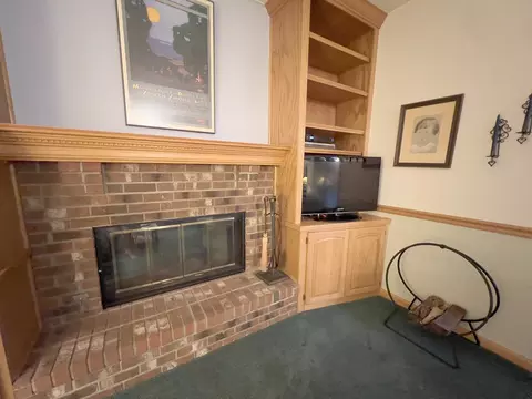 603 Shenandoah Trl, Elgin, IL 60123 photo 13