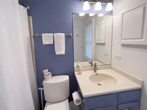 603 Shenandoah Trl, Elgin, IL 60123 photo 19