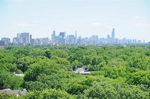 425 Grove St #5C, Evanston, IL 60201 photo 25