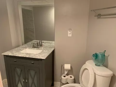 7742 S Albany Ave, Chicago, IL 60652 photo 13