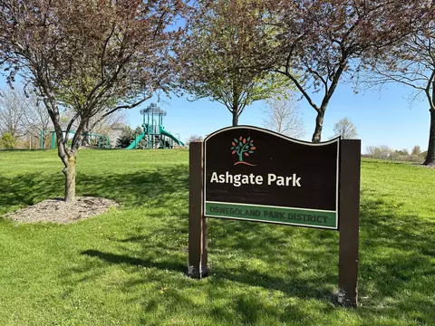 26900 Ashgate Xing, Plainfield, IL 60585 photo 35