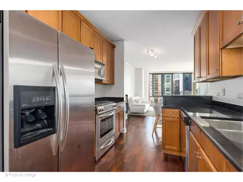 450 E Waterside Dr #1010, Chicago, IL 60601 photo 9