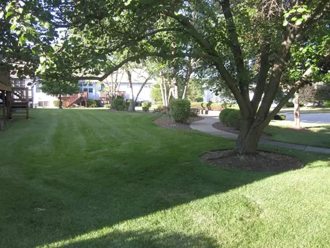 273 Torino Dr, Cary, IL 60013 photo 17