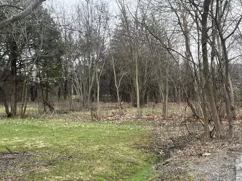 1380 W 52nd Pl, La Grange Highlands, IL 60525